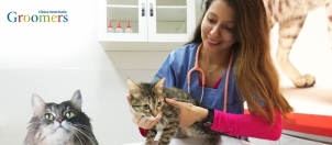 GROOMERS | ATENCIÓN MEDICA-Mascotas-Club El Comercio Perú.